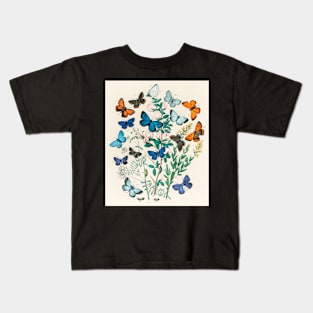 Butterfly Vintage Science Illustration Kids T-Shirt